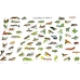 CHART Caterpillars of British Moths 1 and 2, Gordon Riley & David Carter